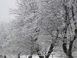 neve del 7 marzo 2004 5